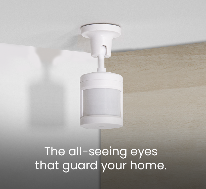 The all-seeing eyes <br />that guard your home.