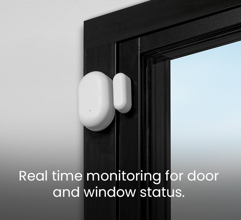 Real time monitoring for door and window status.